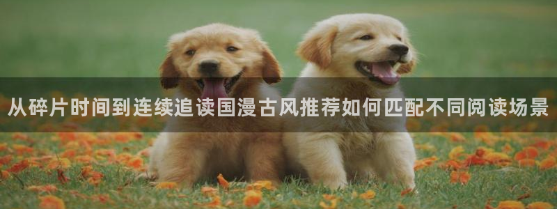 免费漫画动作漫画